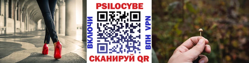 Псилоцибиновые грибы Magic Shrooms  Купить  Чишмы 